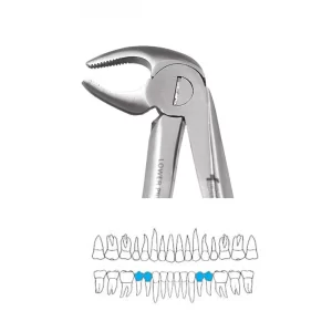 GDC Extraction Forceps Lower Premolars - 13 Standard FX13S