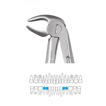 GDC Extraction Forceps Lower Premolars - 13 Standard FX13S