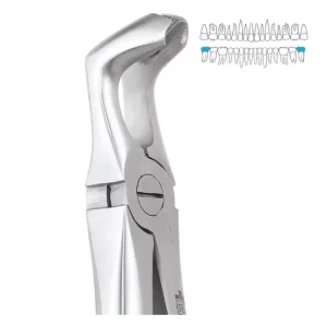 GDC Extraction Forcep Lower Third Molars - 79 Standard