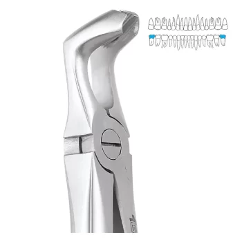 GDC Extraction Forcep Lower Third Molars - 79 Standard