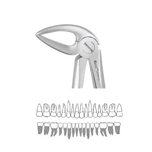 GDC Extraction Forceps Lower Roots - 33L Standard