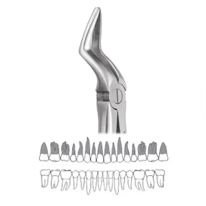 GDC Extraction Forceps Upper Roots - 51 Standard FX51S