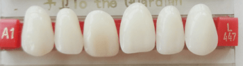 DD+ Synthetic Teeth Set of 6 Lower