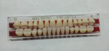 DD+ Synthetic Teeth - Full Set - A3